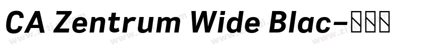 CA Zentrum Wide Blac字体转换